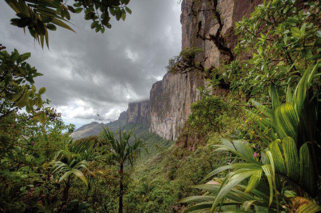Guiana Plateau: description, location, climate