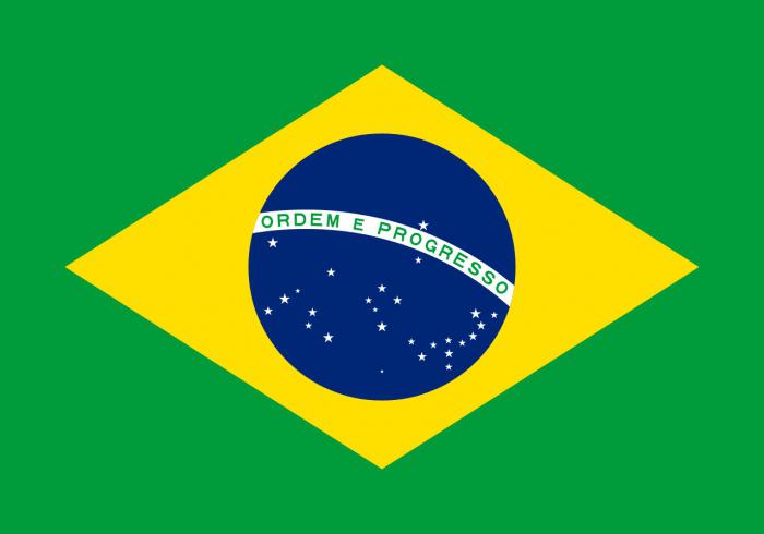 The modern coat of arms of Brazil and the flag of the country: the history and meaning of symbols
