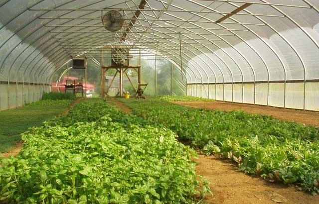 Automation for greenhouses