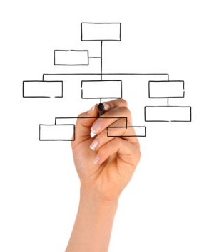 Organization structure is the basis of its success