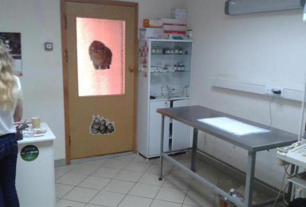  noginsk veterinary clinic around the clock