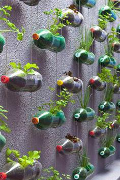 vertical beds of plastic bottles