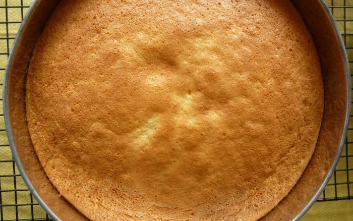 Sponge cake biscuit: recipe for lush cake