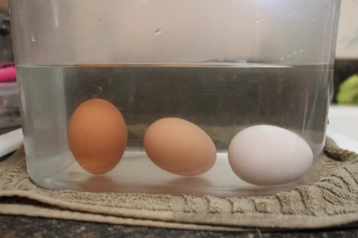How to check the freshness of eggs: 9 most correct ways