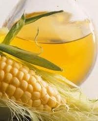 Corn oil: the benefit and harm of this product