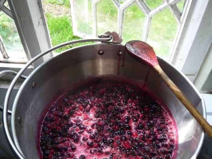 The simplest recipe for black currant jam