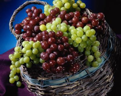Grapes: caloric content per 100 grams. Benefit and harm of grapes