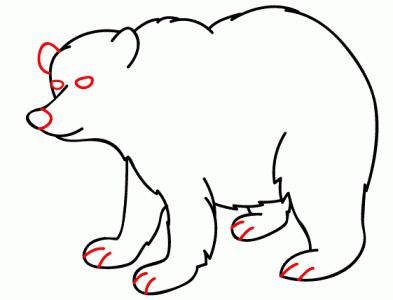 How to draw a bear: step by step instruction