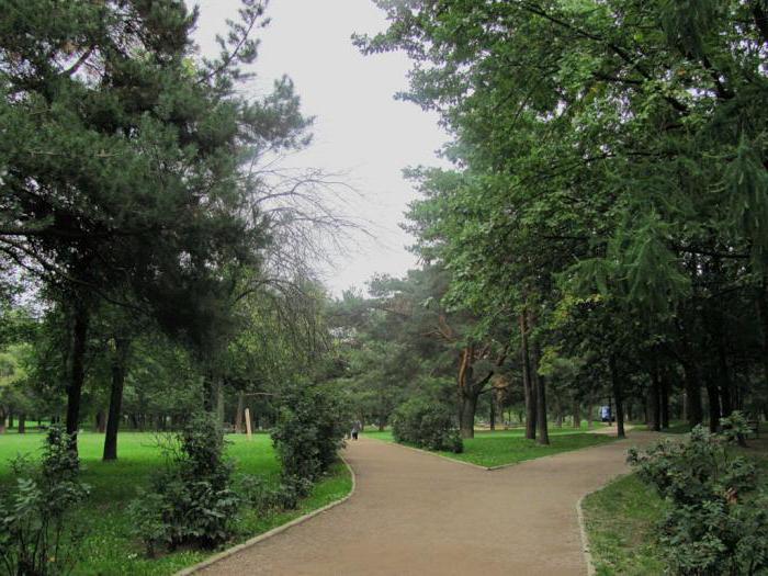 Arshinovsky Park - a natural oasis in the Russian capital