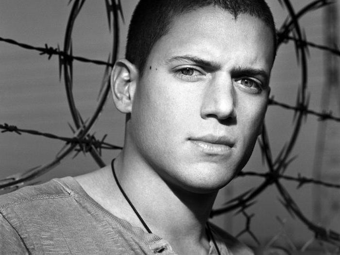 Biography of Wentworth Miller - filmography, personal life and interesting facts