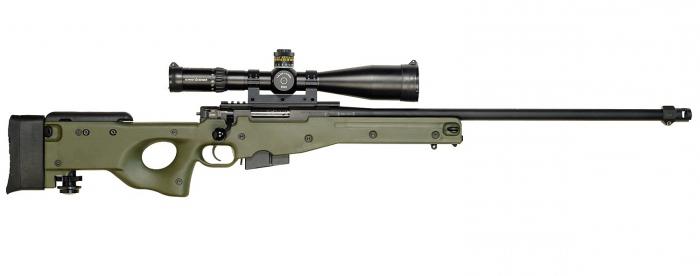 The best sniper rifles in the world. Top 10: photo, description, characteristics