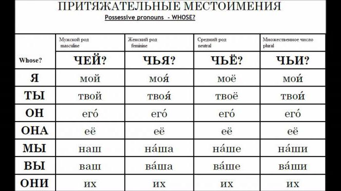 Possessive pronouns in the Russian language. Their features, examples of use in sustainable turnover.