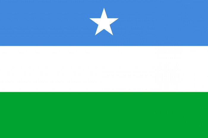 Flag of Somalia: history and description