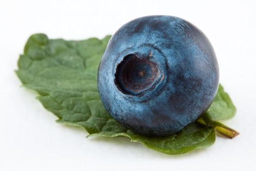 Blueberries: useful properties and application